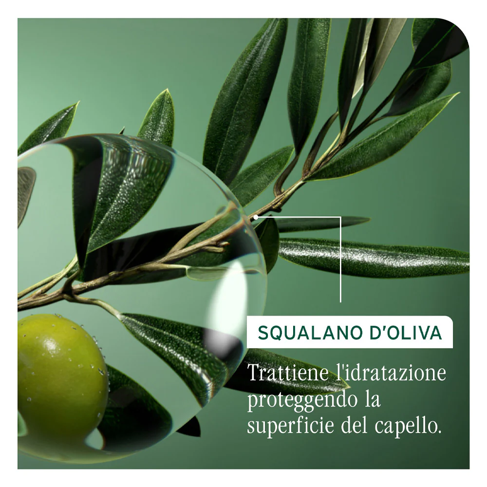 Biolage Professional Hair Spa Strenght Recovery Conditioner 236ml - balsamo ristrutturante capelli danneggiati - Image 6